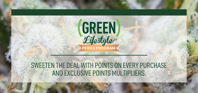 Perks image: sweeten the deal and earn points on every purchase plus exclusive multipliers